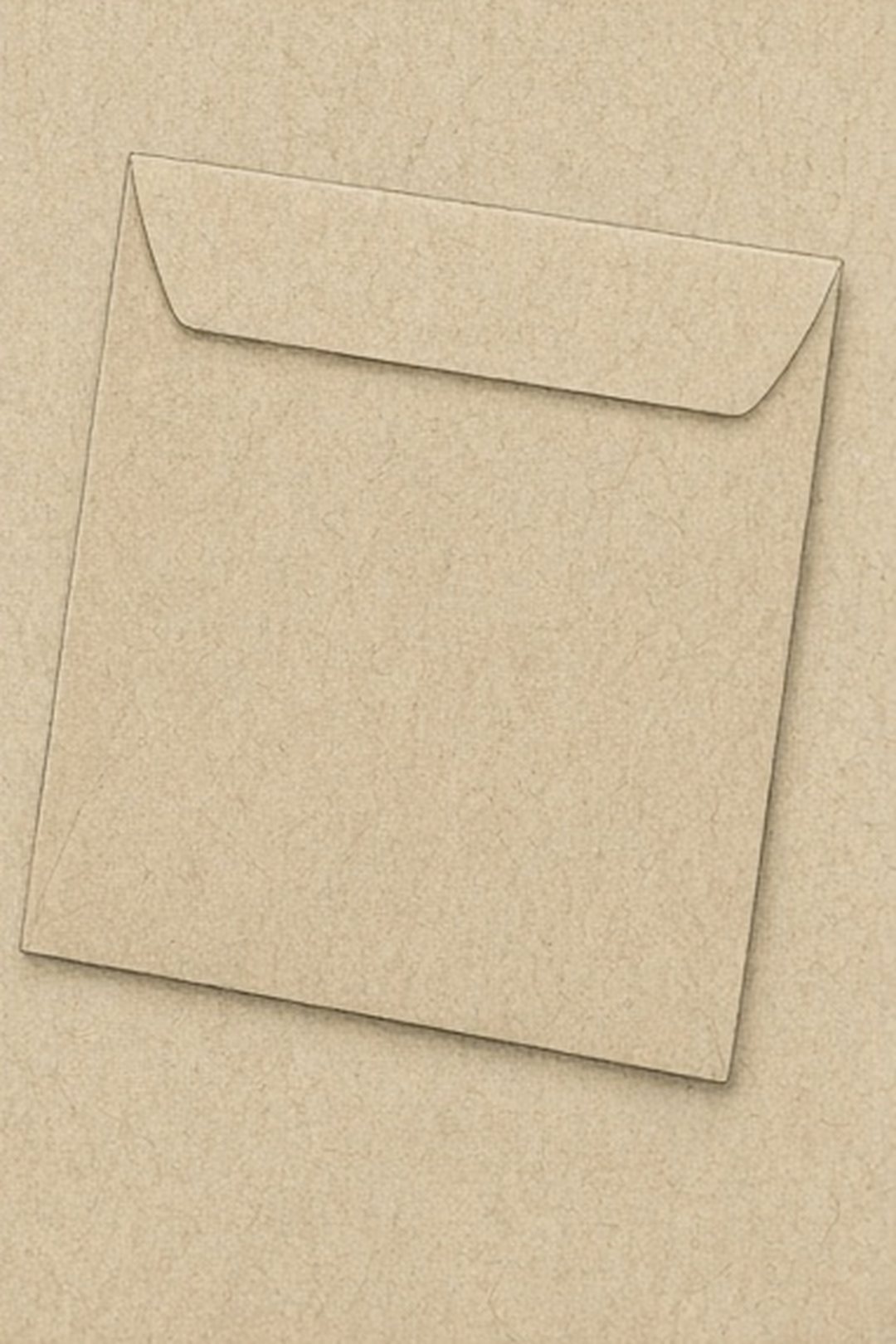 An empty unmarked specimen envelope